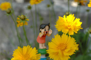 110519a.jpg