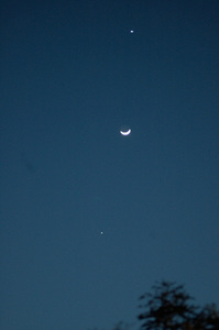 DSC_5571.jpg